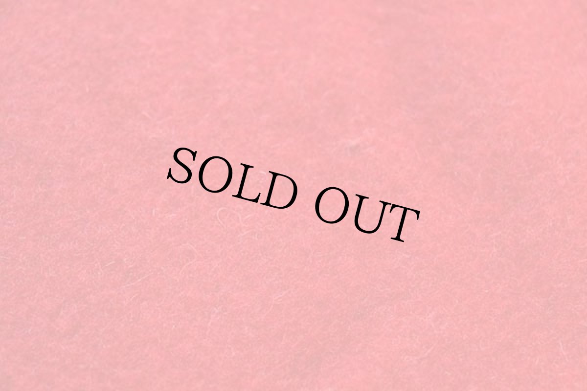 画像6: 70s USA製 PENDLETONペンドルトン RAINIER PARK マルチボーダー ウール ブランケット 赤 (6)