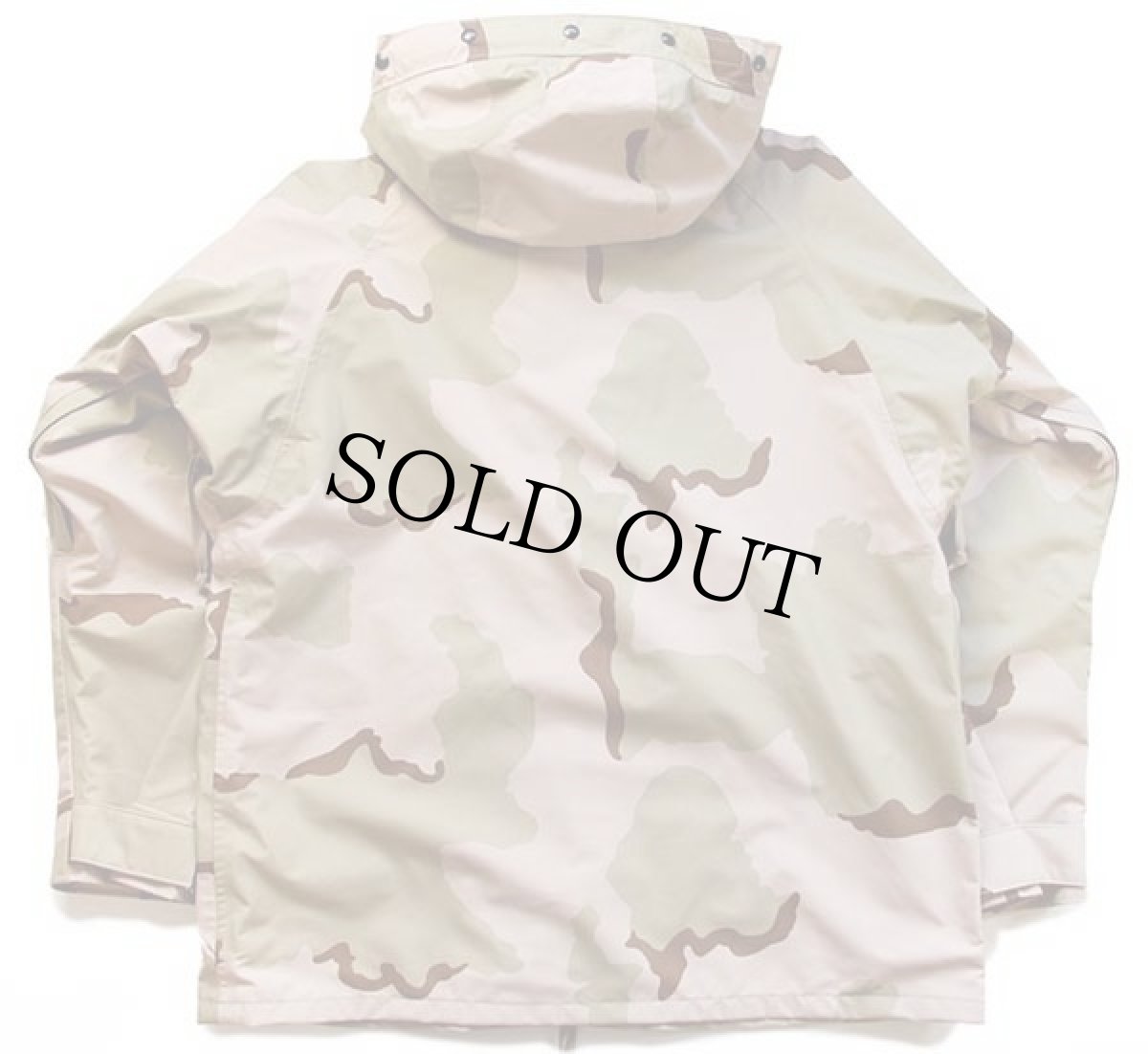 画像2: 00s 米軍 U.S.ARMY ECWCS GEN1 デザートカモ GORE-TEXゴアテックスパーカー L-R (2)