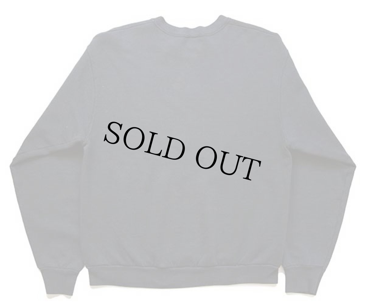 画像2: 90s USA製 BVD タイガー ハンドペイント アート スウェット 黒 L (2)