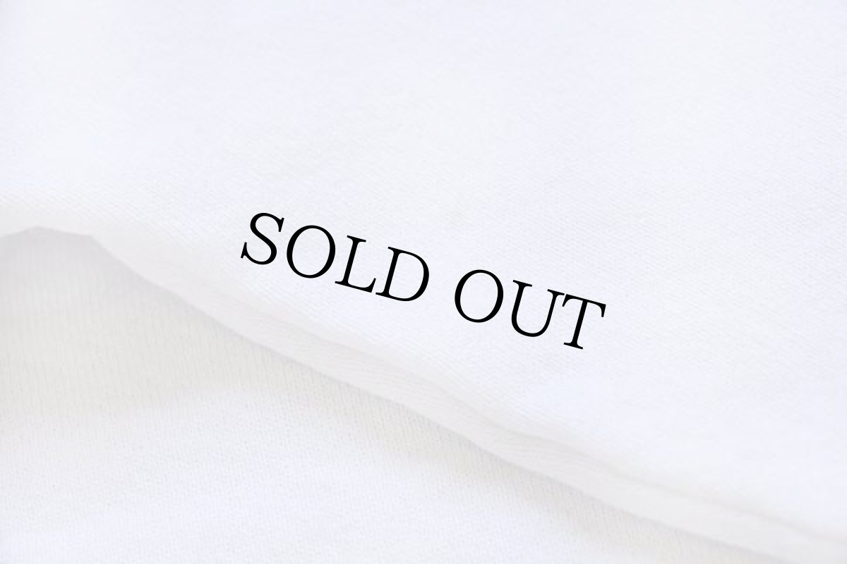 画像5: 90s USA製 FRUIT OF THE LOOM 無地 スウェット 白 L★ブランク (5)