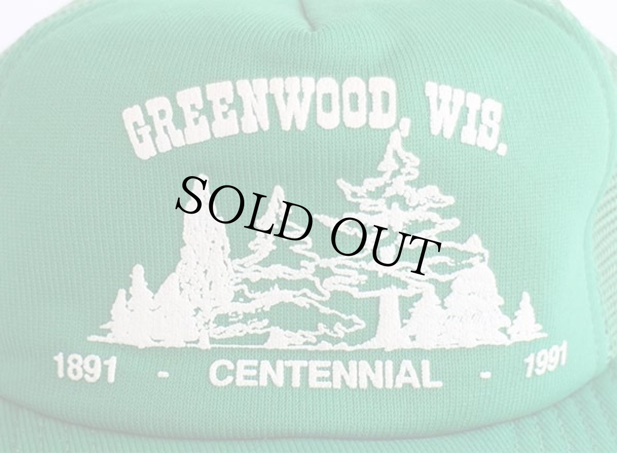 画像4: 90s USA製 GREENWOOD,WIS. 発泡プリント メッシュキャップ 緑 (4)
