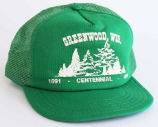 画像1: 90s USA製 GREENWOOD,WIS. 発泡プリント メッシュキャップ 緑 (1)