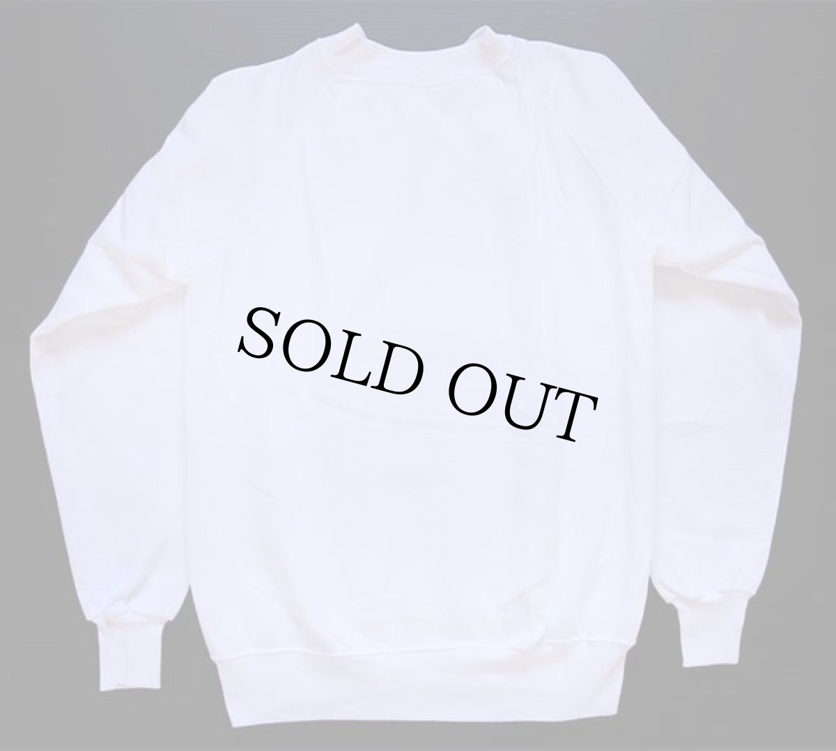 画像3: デッドストック★90s USA製 Hanes NOT T.R.O.L.L.DUDE トロール スウェット 白×蛍光 S★B (3)
