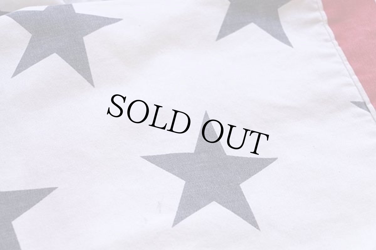 画像6: 90s USA製 MICHIGAN RAGミシガンラグ 星条旗柄 パーカー (6)