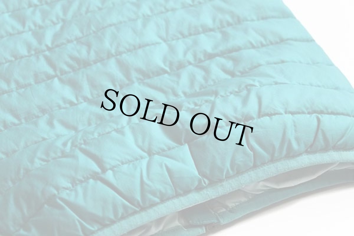 画像5: patagoniaパタゴニア ダウンセーターベスト Plains Green 3T (5)