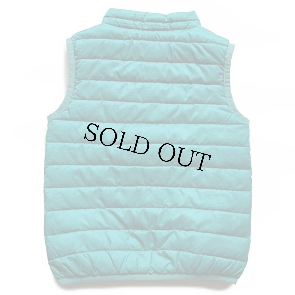 画像2: patagoniaパタゴニア ダウンセーターベスト Plains Green 3T (2)