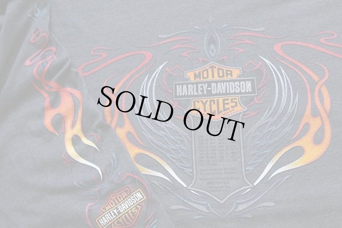 画像3: 00s USA製 Hanes HARLEY-DAVIDSONハーレー ダビッドソン フレイムス 両面プリント 長袖Tシャツ グリーングレー XL★ファイヤーパターン (3)