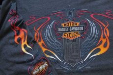 画像3: 00s USA製 Hanes HARLEY-DAVIDSONハーレー ダビッドソン フレイムス 両面プリント 長袖Tシャツ グリーングレー XL★ファイヤーパターン (3)