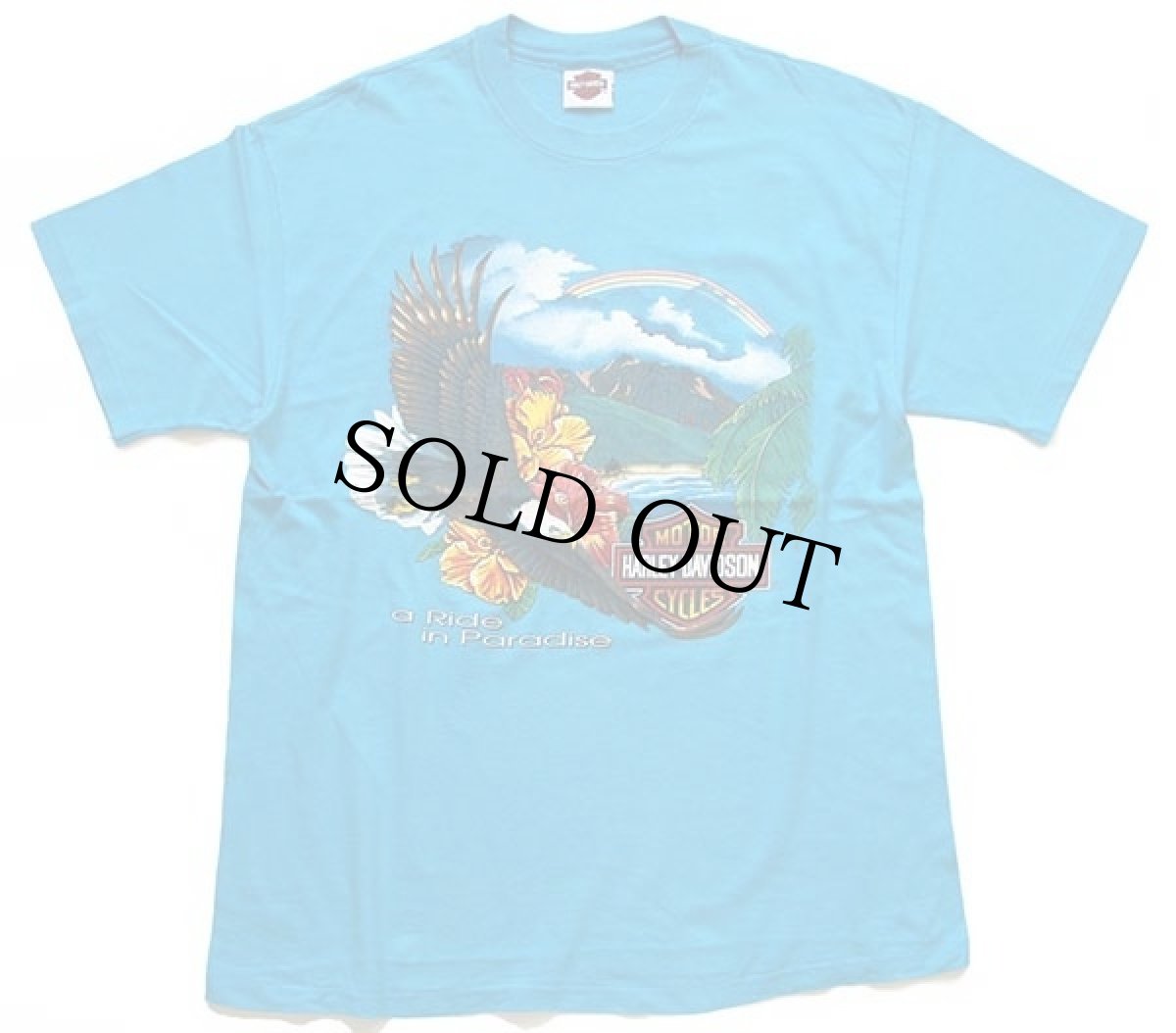 画像2: 90s Hanes HARLEY-DAVIDSON ハーレー ダビッドソン HAWAII 両面プリント コットンTシャツ 青 (2)