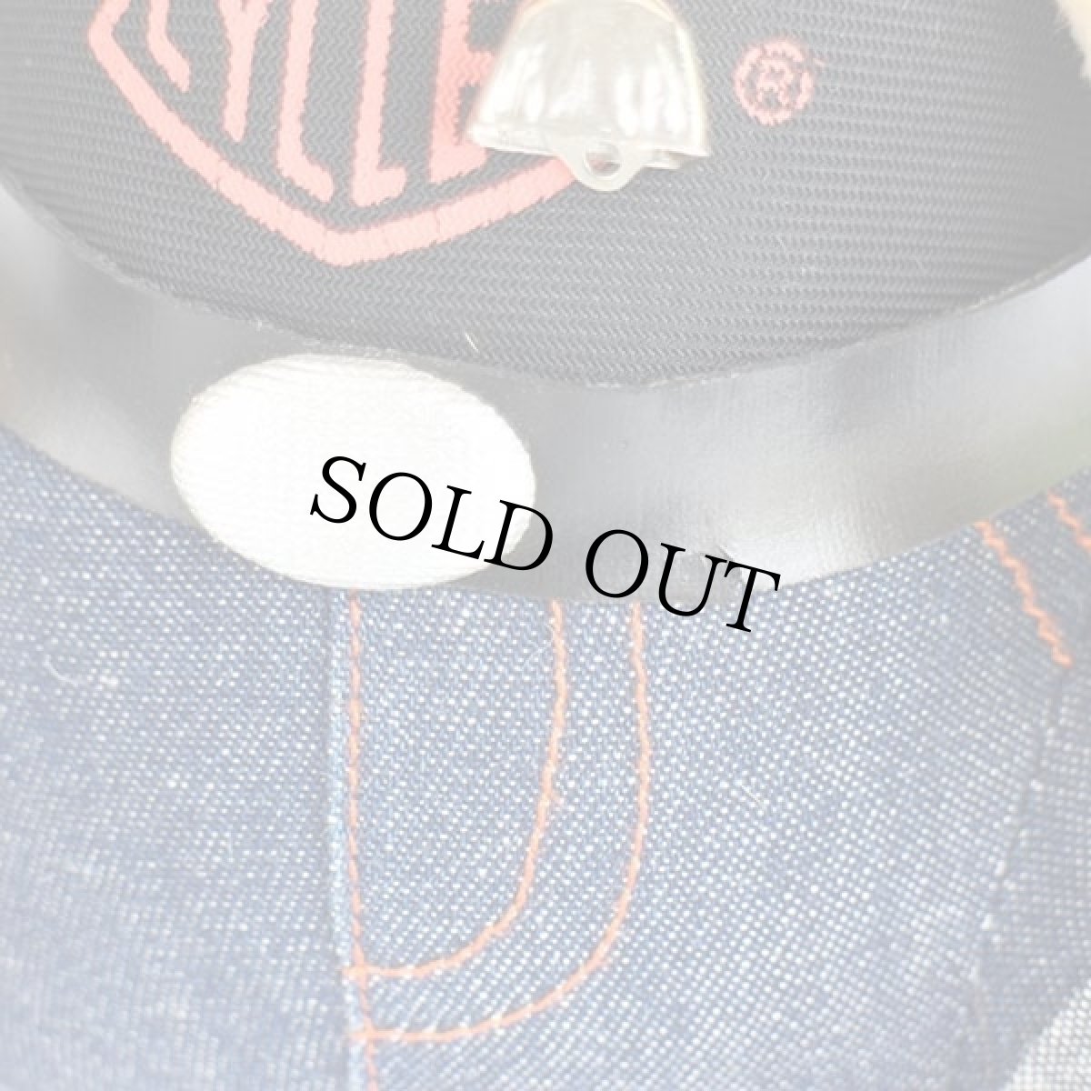 画像8: 90s HARLEY-DAVIDSON ハーレー ダビッドソン イノシシ ドール★ぬいぐるみ (8)