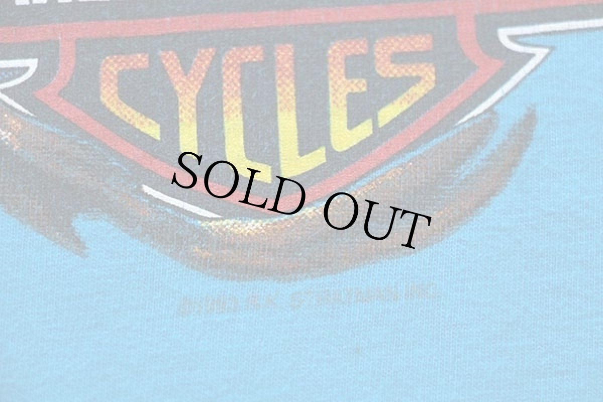 画像5: 90s Hanes HARLEY-DAVIDSON ハーレー ダビッドソン HAWAII 両面プリント コットンTシャツ 青 (5)