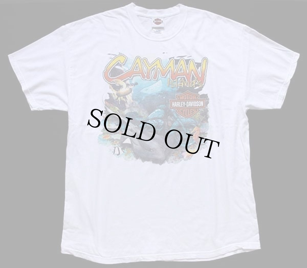画像2: 00s USA製 Hanes HARLEY-DAVIDSON ハーレー ダビッドソン GRAND CAYMAN 海賊 両面プリント コットンTシャツ 白 XL (2)