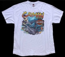 画像2: 00s USA製 Hanes HARLEY-DAVIDSON ハーレー ダビッドソン GRAND CAYMAN 海賊 両面プリント コットンTシャツ 白 XL (2)