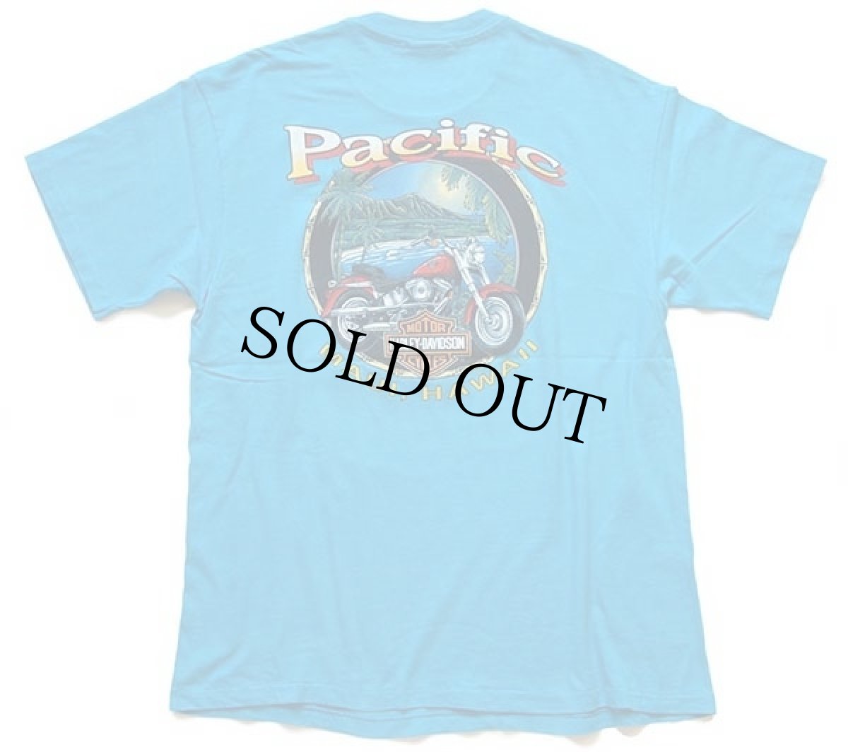 画像3: 90s Hanes HARLEY-DAVIDSON ハーレー ダビッドソン HAWAII 両面プリント コットンTシャツ 青 (3)