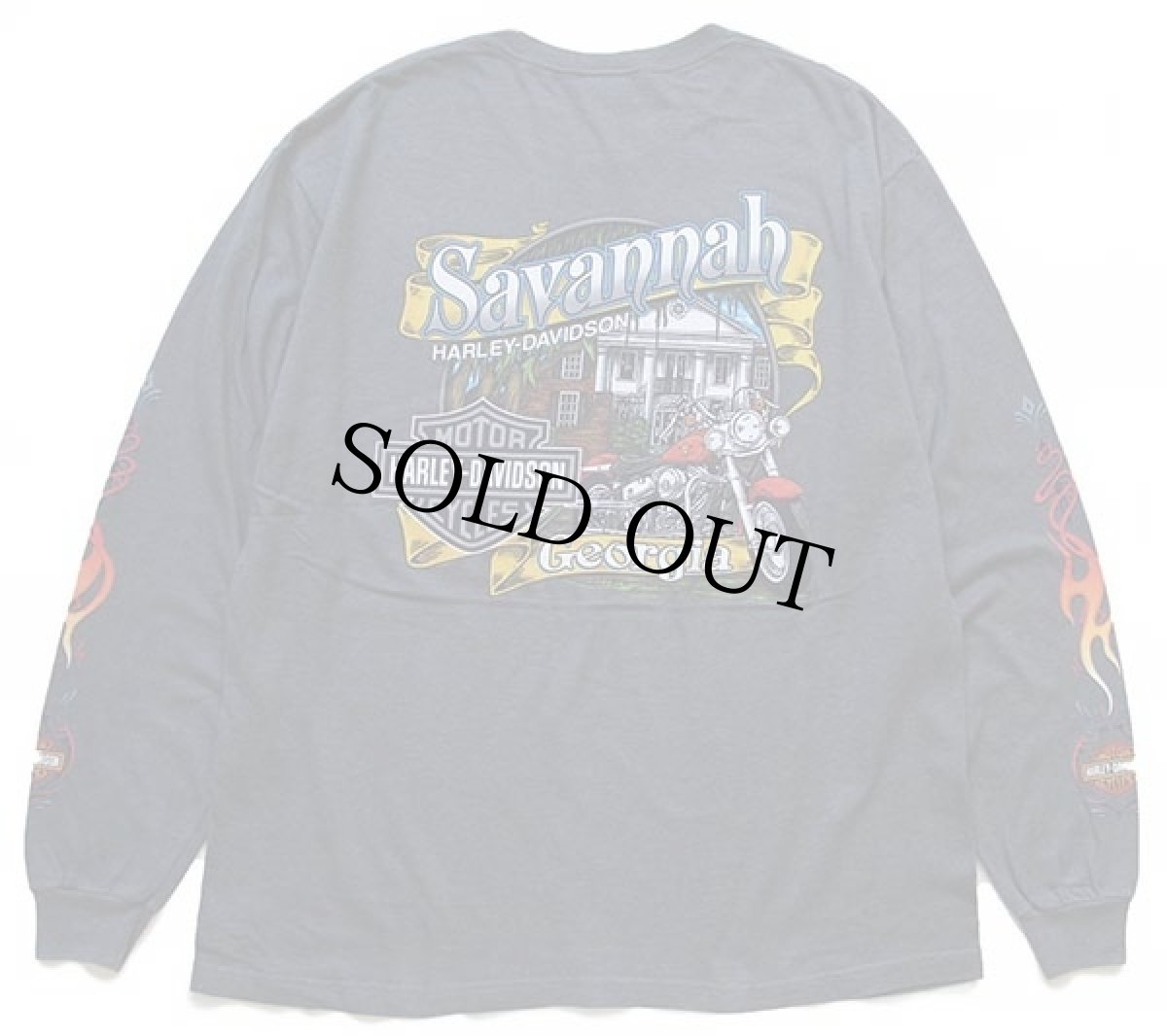 画像2: 00s USA製 Hanes HARLEY-DAVIDSONハーレー ダビッドソン フレイムス 両面プリント 長袖Tシャツ グリーングレー XL★ファイヤーパターン (2)