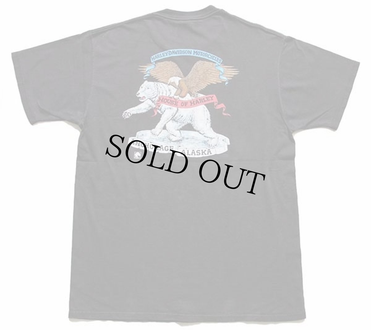 画像3: 90s USA製 HARLEY-DAVIDSON ハーレー ダビッドソン ALASKA 両面プリント コットンTシャツ 黒 L (3)