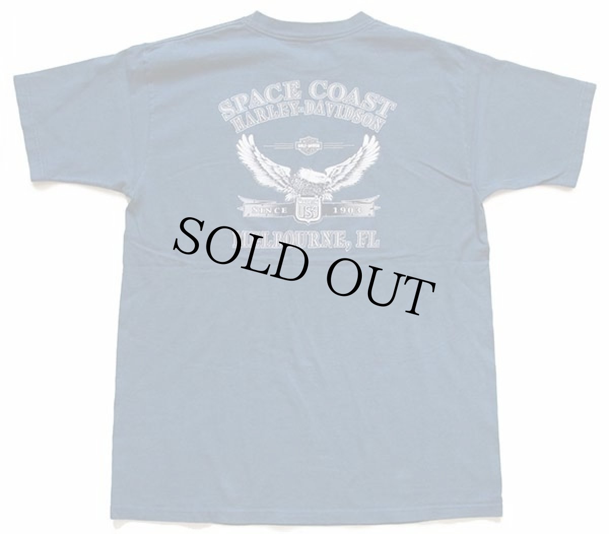 画像3: 00s USA製 HARLEY-DAVIDSON ハーレー ダビッドソン SPACE COAST 両面プリント コットンTシャツ 杢ブルー L (3)