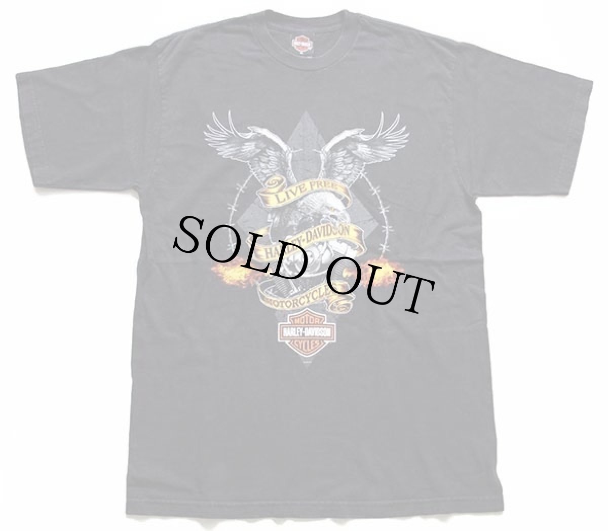 画像2: 00s USA製 HARLEY-DAVIDSON ハーレー ダビッドソン BERLIN 両面プリント コットンTシャツ 黒 XL (2)