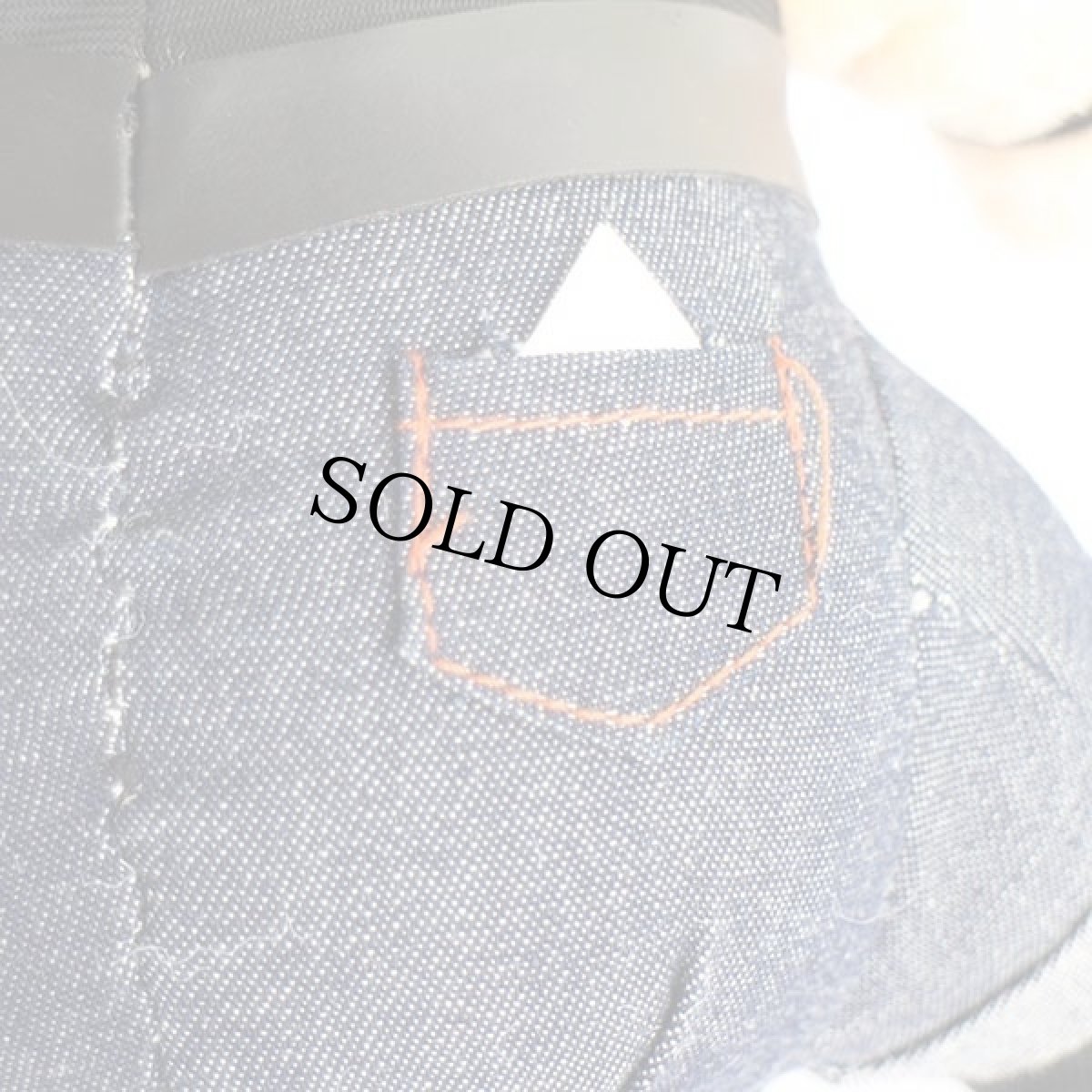 画像5: 90s HARLEY-DAVIDSON ハーレー ダビッドソン ブタ ドール★B ぬいぐるみ (5)