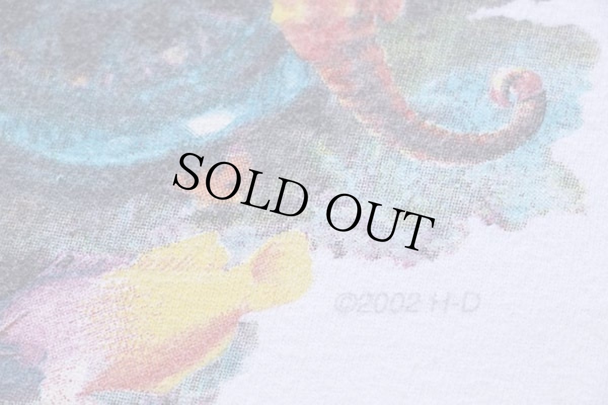 画像5: 00s USA製 Hanes HARLEY-DAVIDSON ハーレー ダビッドソン GRAND CAYMAN 海賊 両面プリント コットンTシャツ 白 XL (5)