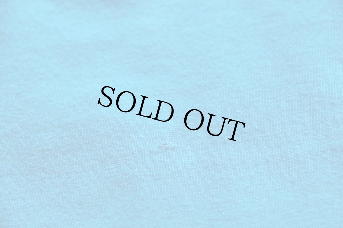 画像7: 90s Hanes HARLEY-DAVIDSON ハーレー ダビッドソン HAWAII 両面プリント コットンTシャツ 青 (7)