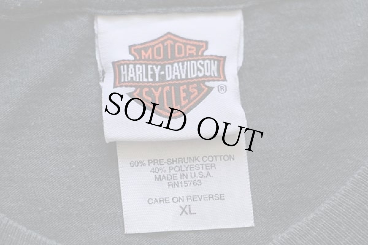 画像6: 00s USA製 Hanes HARLEY-DAVIDSONハーレー ダビッドソン フレイムス 両面プリント 長袖Tシャツ グリーングレー XL★ファイヤーパターン (6)