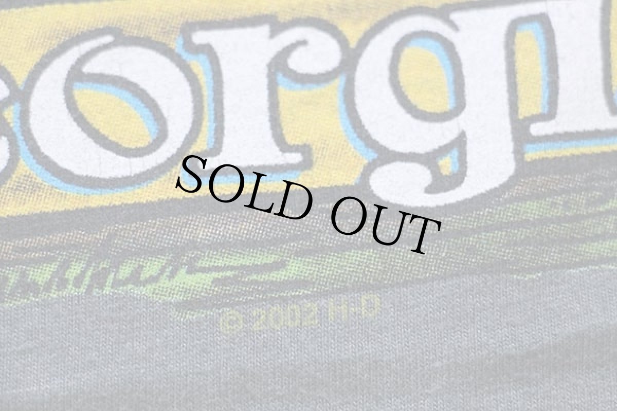 画像5: 00s USA製 Hanes HARLEY-DAVIDSONハーレー ダビッドソン フレイムス 両面プリント 長袖Tシャツ グリーングレー XL★ファイヤーパターン (5)