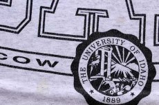 画像3: 90s USA製 UNIVERSITY IDAHO コットンTシャツ 杢ライトグレー XL (3)