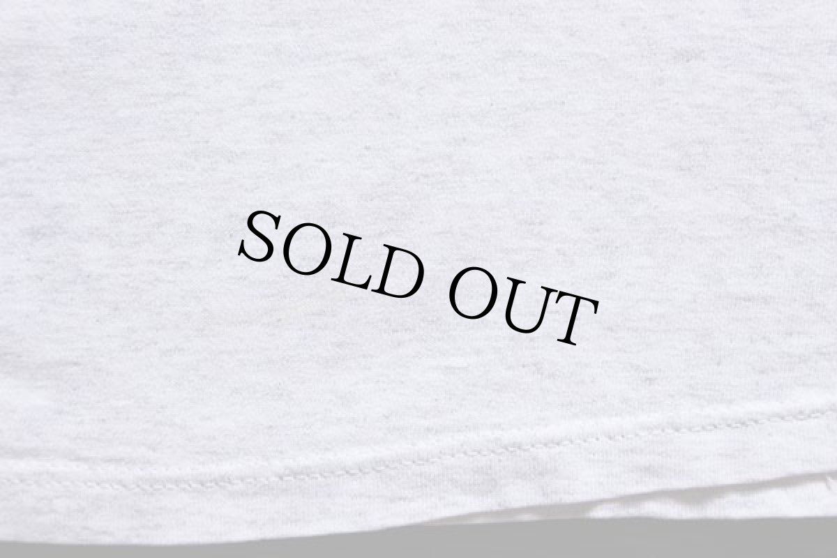 画像5: 90s USA製 UNIVERSITY IDAHO コットンTシャツ 杢ライトグレー XL (5)