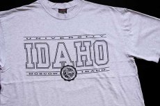 画像1: 90s USA製 UNIVERSITY IDAHO コットンTシャツ 杢ライトグレー XL (1)