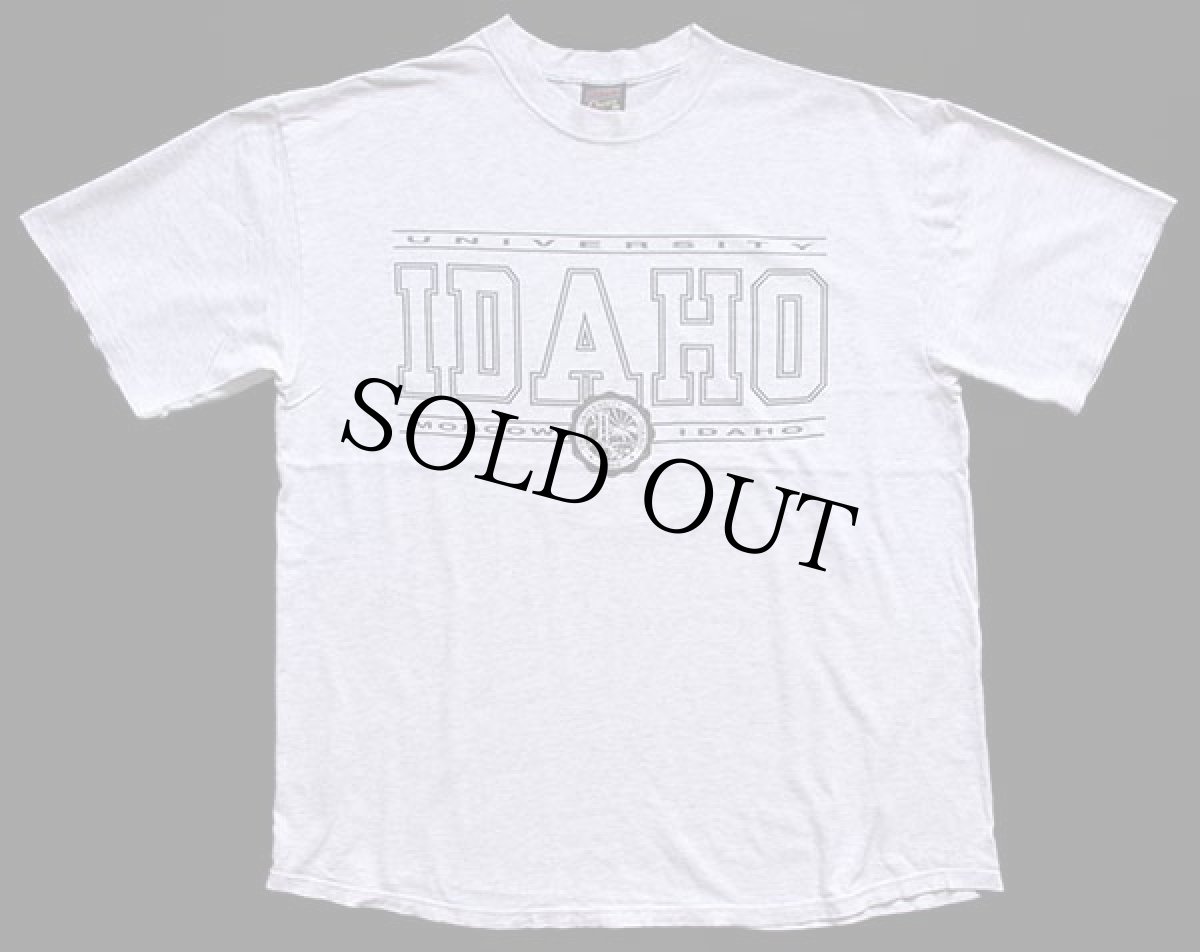 画像2: 90s USA製 UNIVERSITY IDAHO コットンTシャツ 杢ライトグレー XL (2)