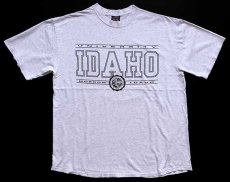 画像2: 90s USA製 UNIVERSITY IDAHO コットンTシャツ 杢ライトグレー XL (2)