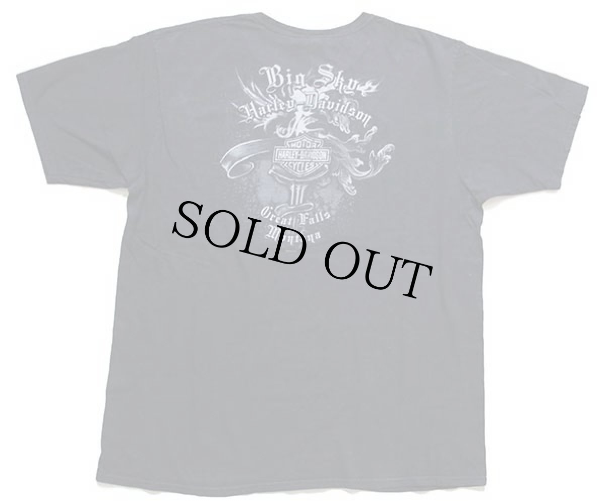 画像3: HARLEY-DAVIDSON ハーレー ダビッドソン Big Sky ウルフ 両面プリント コットンTシャツ 黒 XL (3)