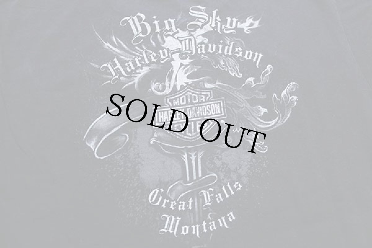 画像4: HARLEY-DAVIDSON ハーレー ダビッドソン Big Sky ウルフ 両面プリント コットンTシャツ 黒 XL (4)