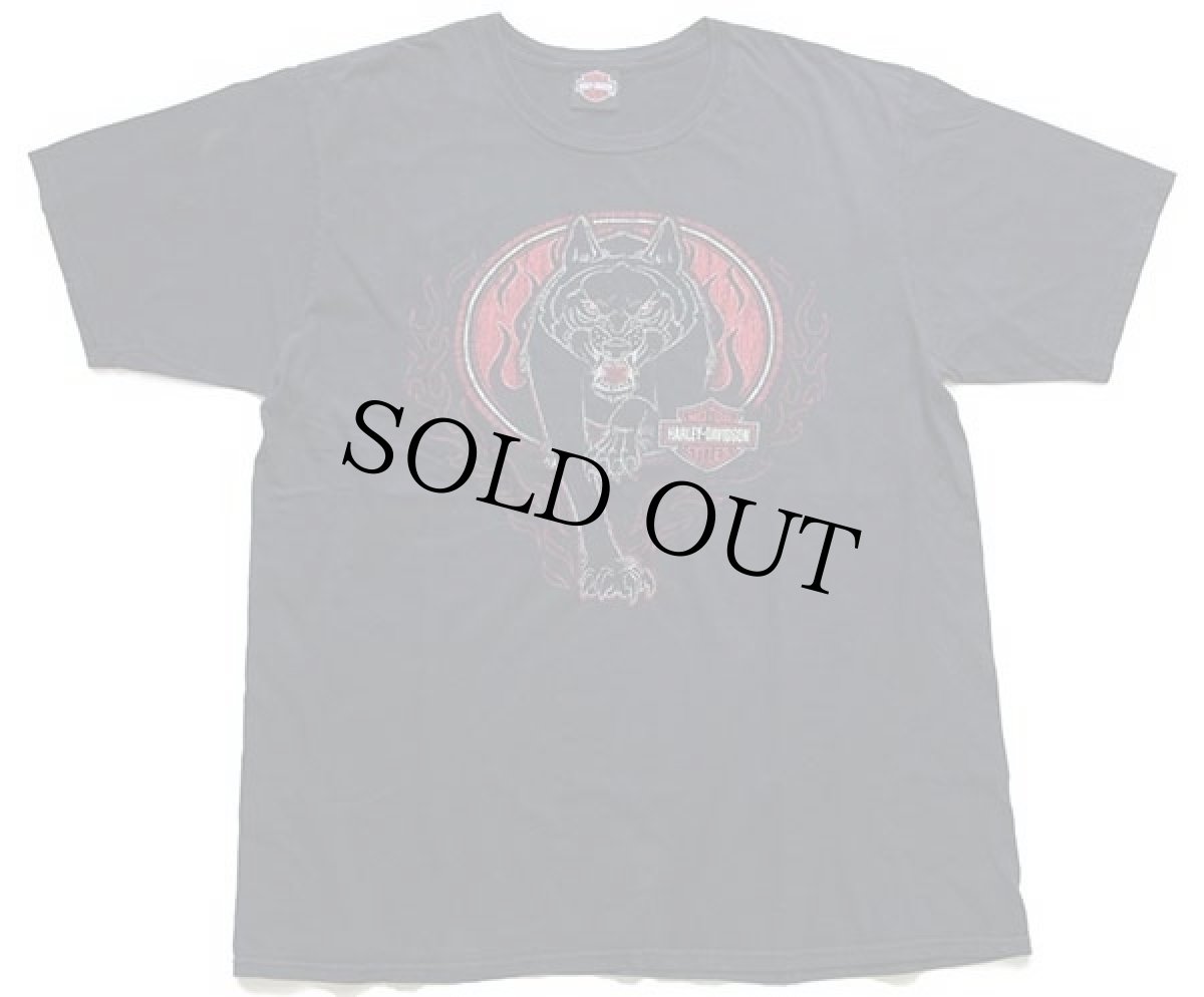 画像2: HARLEY-DAVIDSON ハーレー ダビッドソン Big Sky ウルフ 両面プリント コットンTシャツ 黒 XL (2)