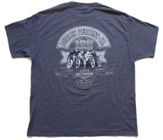 画像3: Hanes HARLEY-DAVIDSON ハーレー ダビッドソン DUDLEY PERKINS ダートトラック 両面プリント Tシャツ グレー XL (3)