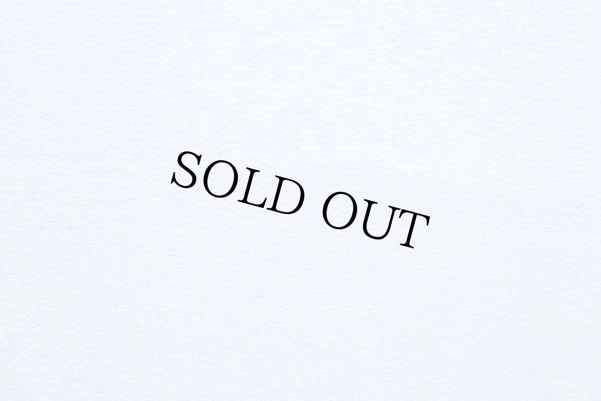 画像6: 90s USA製 patagoniaパタゴニア レラサン サーフ オーガニックコットンTシャツ 白 M (6)