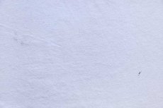 画像8: 70s USA製 Hanes DARKSTAR PRIMO HAWAII 両面 染み込みプリント アート コットンTシャツ 白 XL (8)