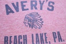 画像3: 80s AVERY'S BEACH LAKE,PA. インディアンヘッド 染み込みプリント リンガーTシャツ 杢レッド (3)
