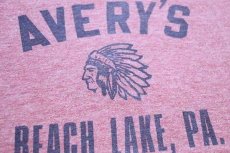 画像3: 80s AVERY'S BEACH LAKE,PA. インディアンヘッド 染み込みプリント リンガーTシャツ 杢レッド (3)