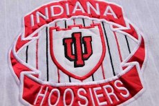 画像3: 90s USA製 INDIANA HOOSIERS ストライプ リバースウィーブ スウェット 杢ライトグレー XL (3)