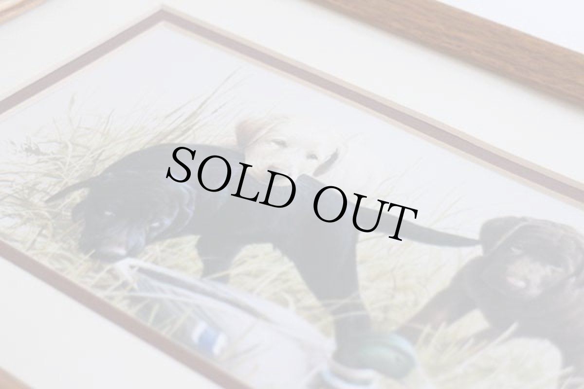 画像4: KILLEN PUPPY DAZE ラブラドールレトリバー アート ウッドフレーム入り★絵画 (4)