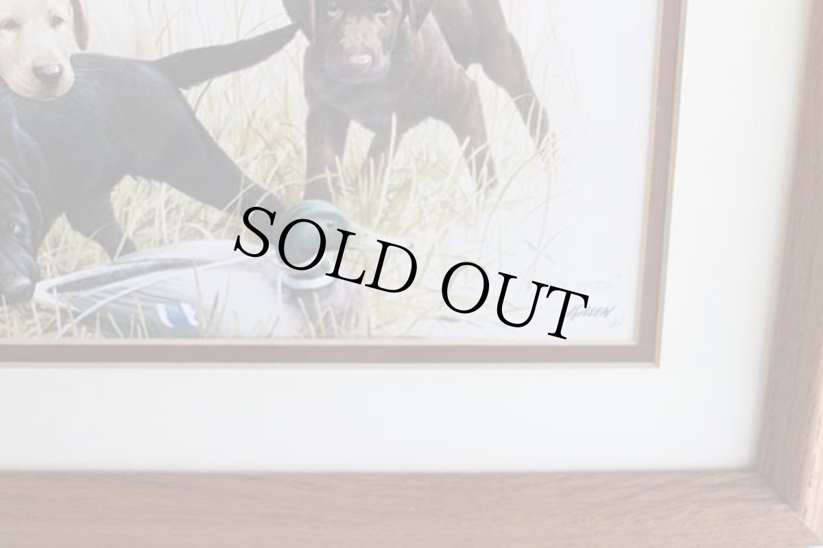 画像3: KILLEN PUPPY DAZE ラブラドールレトリバー アート ウッドフレーム入り★絵画 (3)