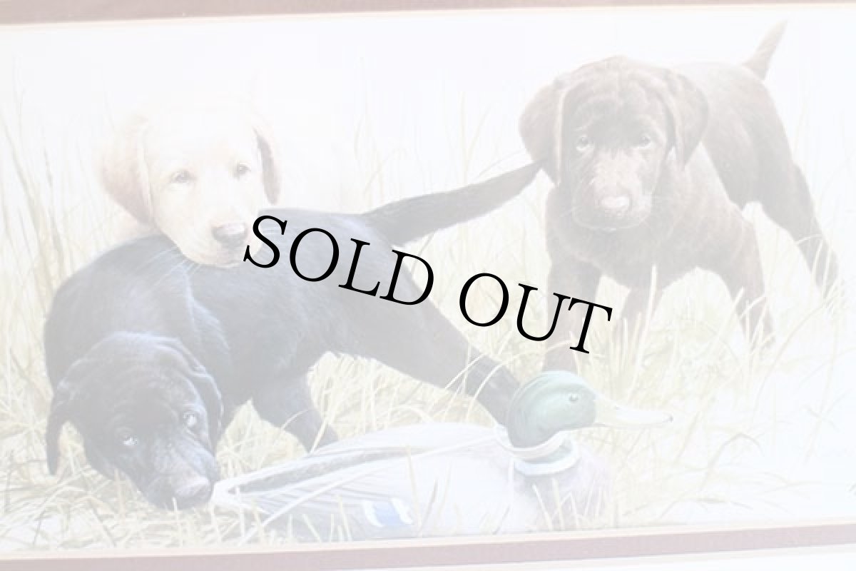 画像2: KILLEN PUPPY DAZE ラブラドールレトリバー アート ウッドフレーム入り★絵画 (2)