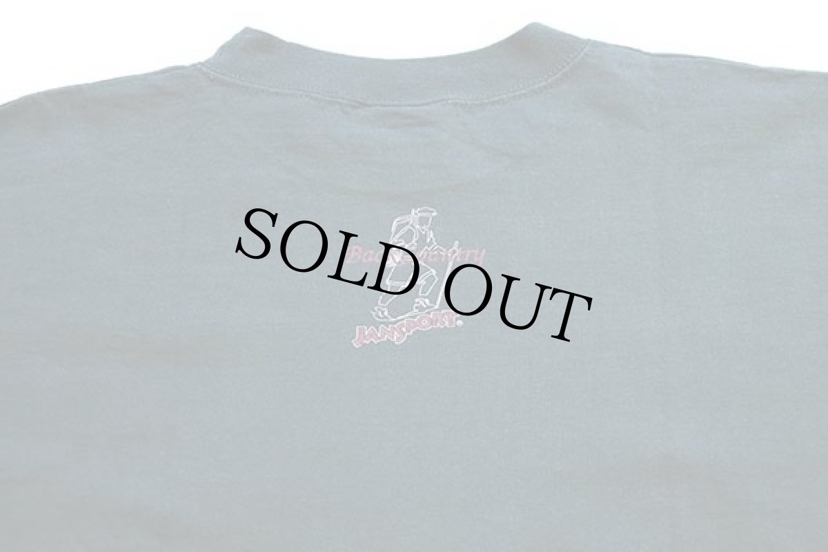 画像5: 90s USA製 JANSPORTジャンスポーツ BackCountry アート コットンTシャツ チャコール L (5)