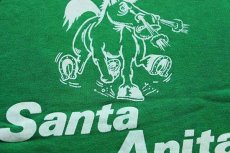 画像3: 70s ARTEX Santa Anita 馬 両面 フロッキープリント 半袖スウェット 緑 M (3)