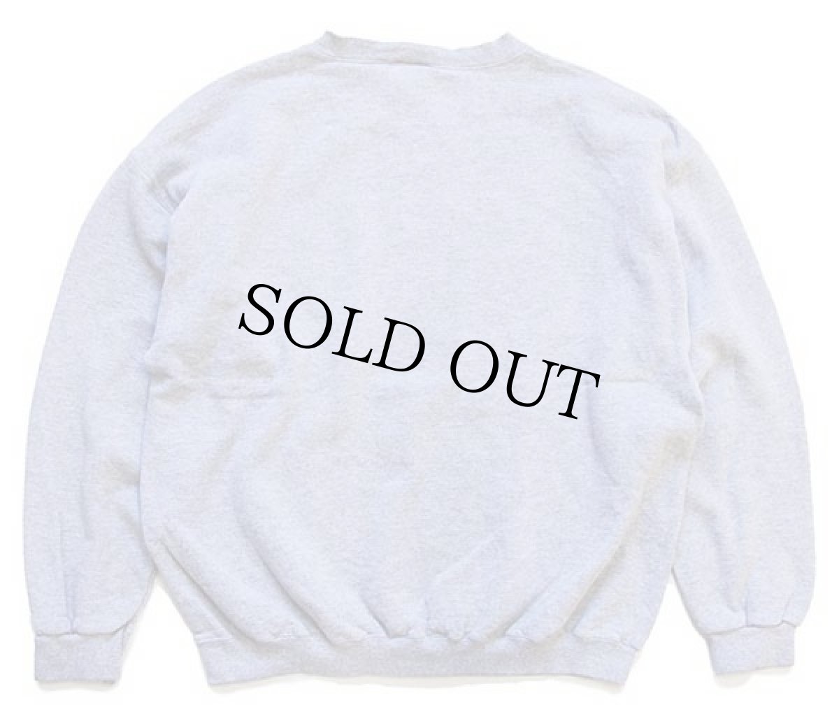 画像2: 90s USA製 DISCUS RED WING HOCKEY 前V スウェット 杢グレー XL (2)