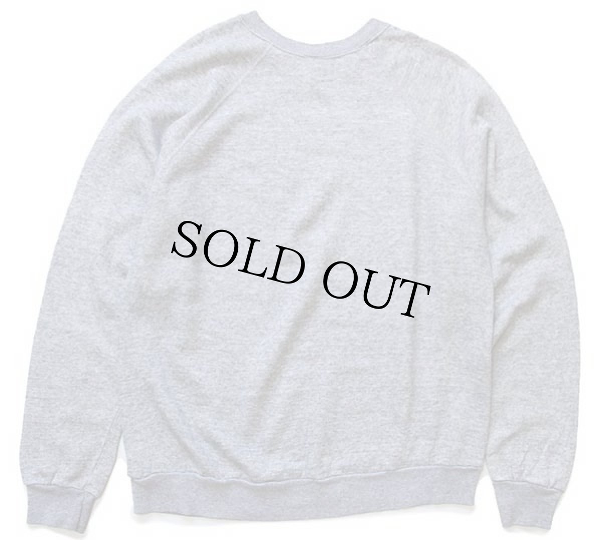 画像2: 80s USA製 Tultex Smithsonian Institution アート スウェット 杢グレー XL (2)