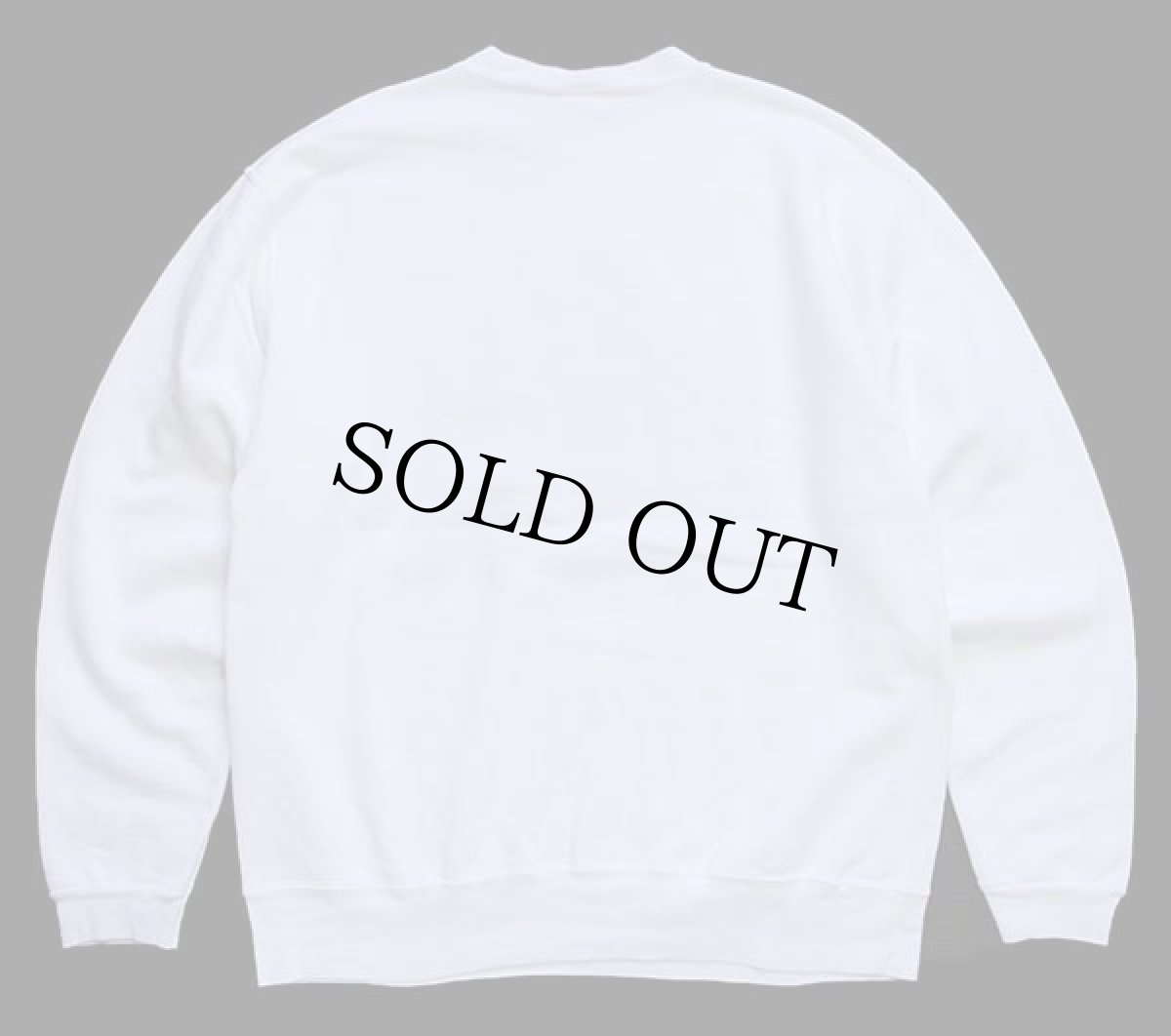 画像2: 90s USA製 PUT-IN-BAY OHIO 刺繍 スウェット 白 L (2)