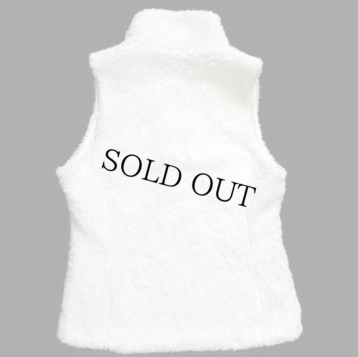 画像2: patagoniaパタゴニア Los Gatosロスガトス フリースベスト ホワイト M (2)